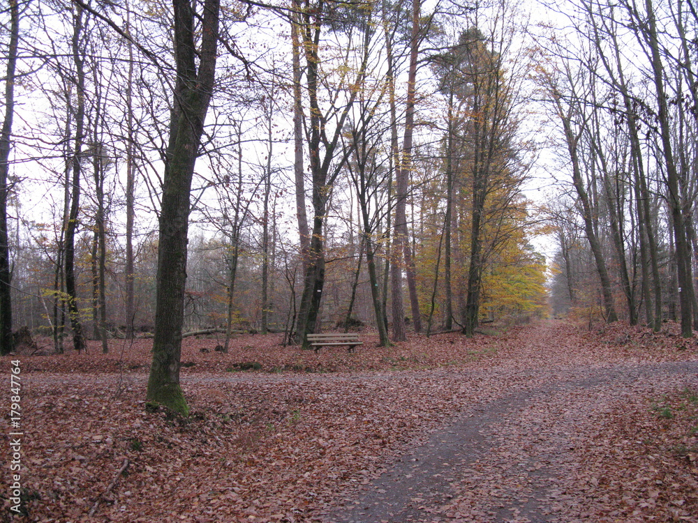 Obraz premium balade