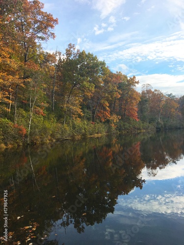 Reflecting Autumn Trees