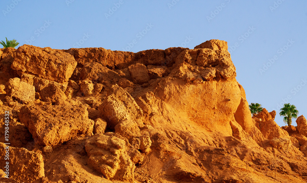 texture sandy-clay soil with a vertical surface of the cliff, gripping the edge of the cliff with vegetation