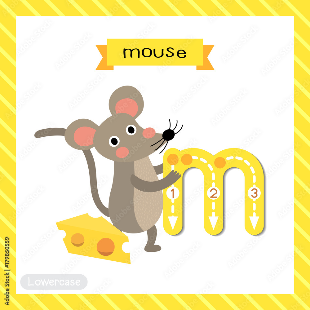 Letter M lowercase cute children colorful zoo and animals ABC alphabet  tracing flashcard of Mouse with cheese for kids learning English vocabulary  and handwriting vector illustration. vector de Stock | Adobe Stock