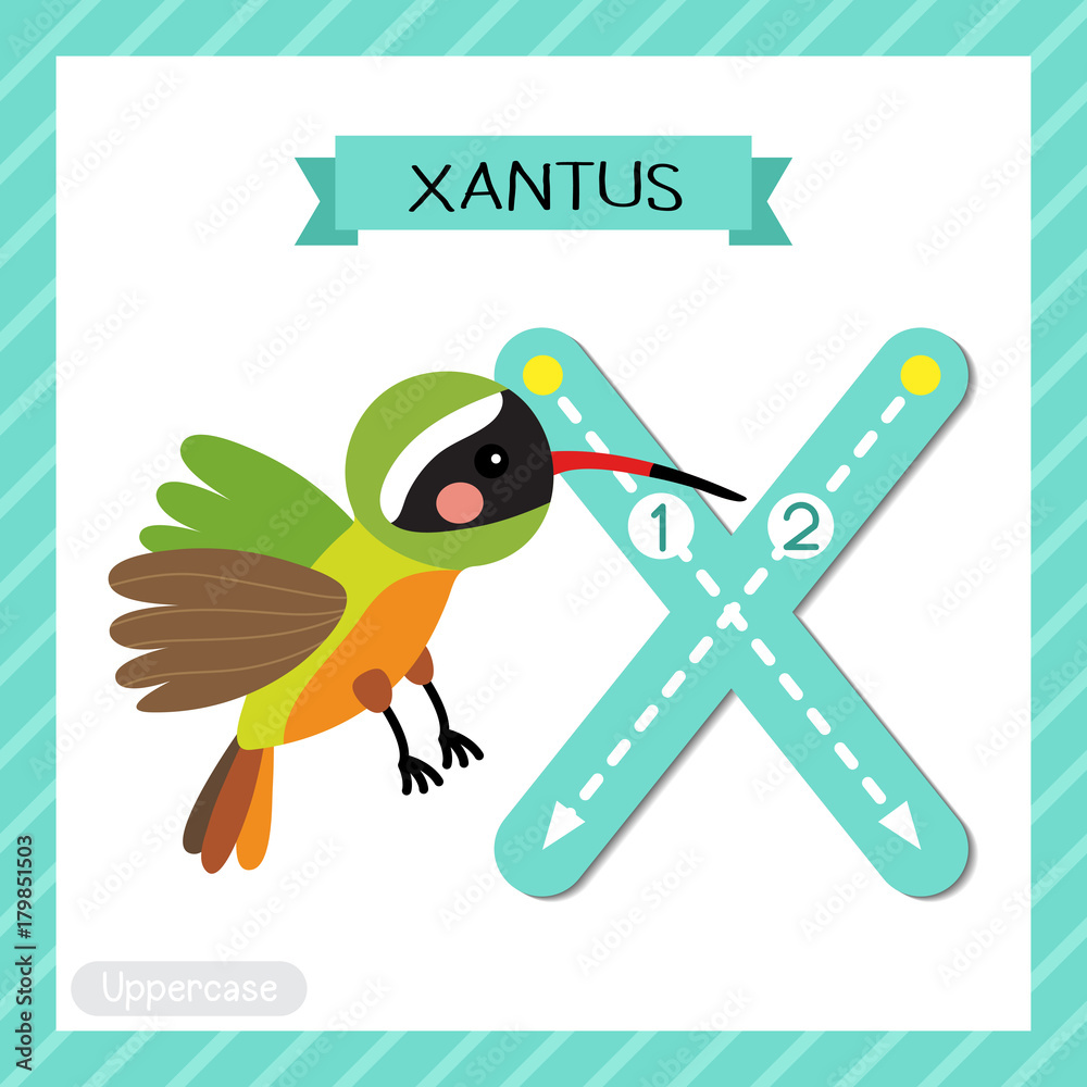 Vecteur Stock Letter X uppercase cute children colorful zoo and animals ...
