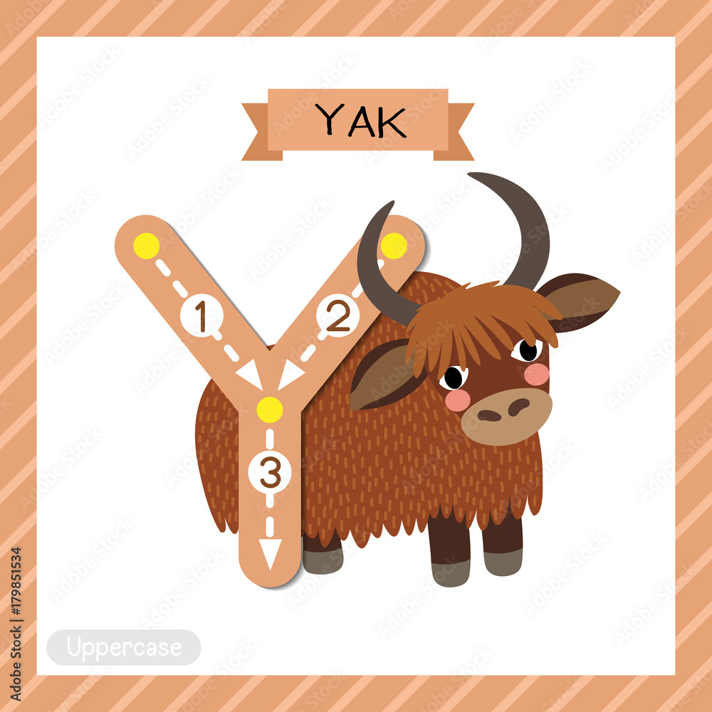 Letter Y uppercase cute children colorful zoo and animals ABC alphabet  tracing flashcard of Yak for kids learning English vocabulary and  handwriting vector illustration. Stock Vector | Adobe Stock