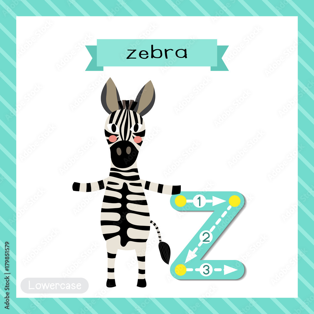 Letter Z lowercase cute children colorful zoo and animals ABC alphabet  tracing flashcard of Zebra standing on two legs for kids learning English  vocabulary and handwriting vector illustration. Stock Vector | Adobe