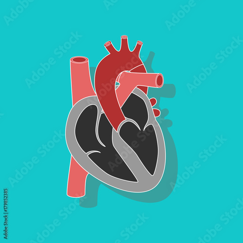 human heart paper sticker on stylish background