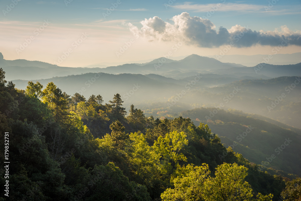 Landscape of mountains spring forest with mist in sunrise time at Doi Inthanon National Park, High mountain in Chiang Mai Province, Thailand
