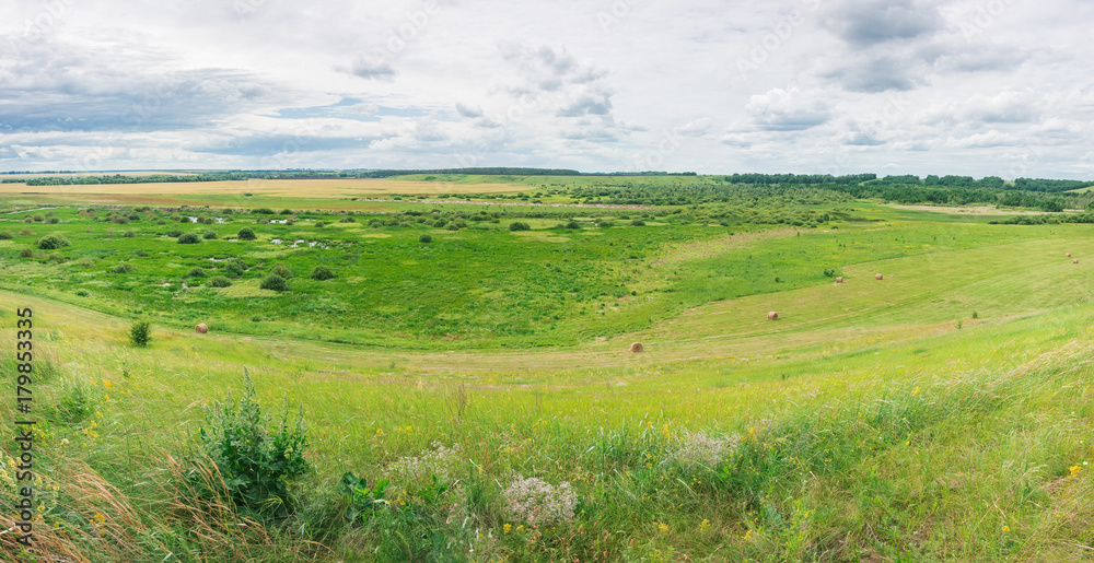 Fototapeta premium Panorama of the meadow