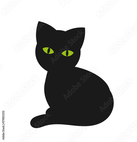 The black cat with green eyes