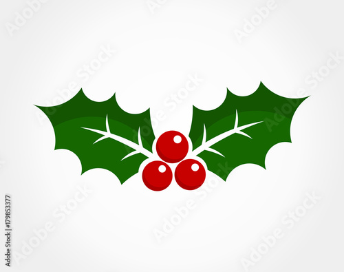 Christmas holly berry icon