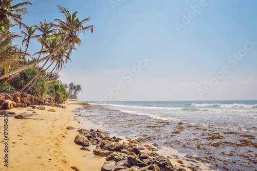 nice landscape with the ocean and palm trees © badahos