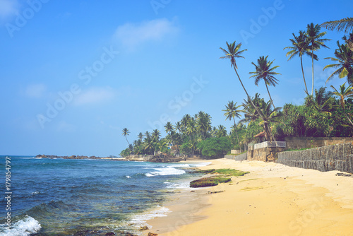 nice landscape with the ocean and palm trees