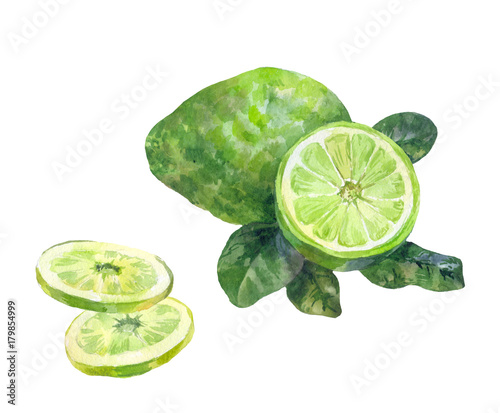 Sliced bergamot. Watercolor illustration on a white background. Additive in tea photo