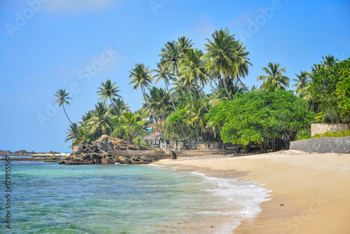nice landscape with the ocean and palm trees