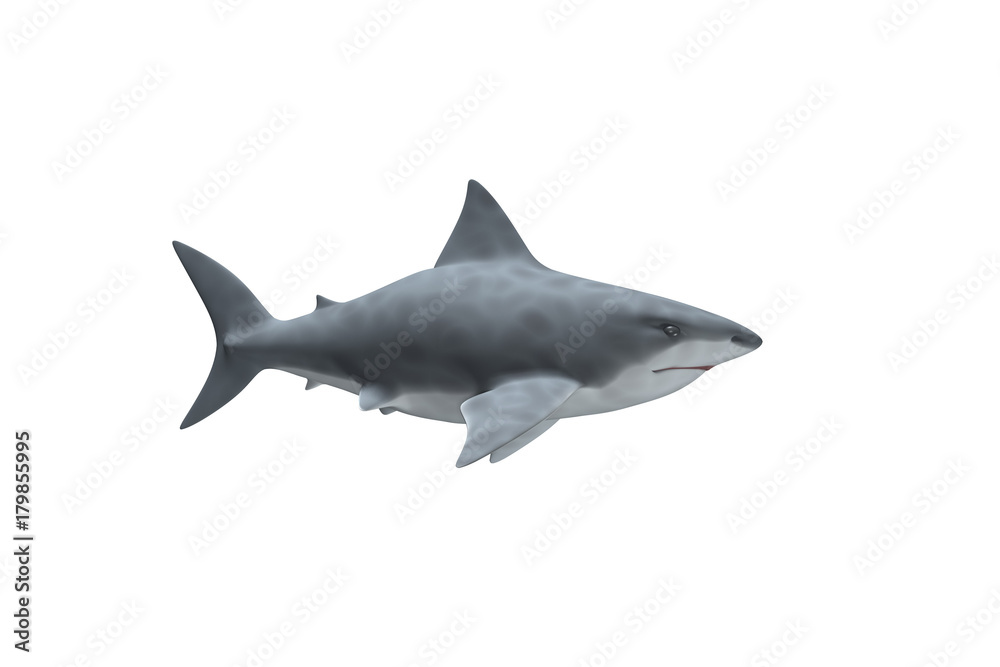 Naklejka premium Requin Blanc de profil