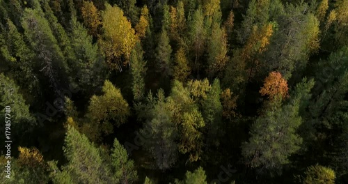 Autumn color forrest, Cinema 4k aerial tilt view over colorful autumn trees, revealing fjeld tunturi mountains, on a sunny and rainy fall day, near pallas-yllas national park, Lapland, Finland photo