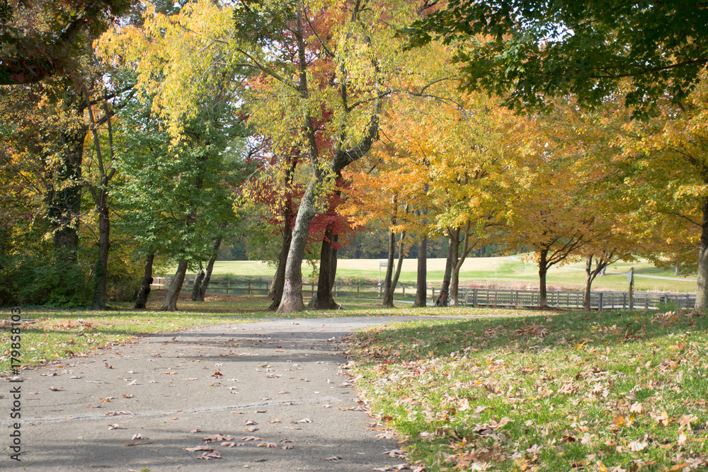 Naklejka premium The close we are to the end, the clear we can see the beauty of Autumn will reveal