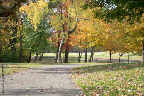 The close we are to the end, the clear we can see the beauty of Autumn will reveal