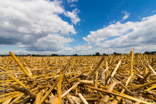 Feld mit Stroh photo