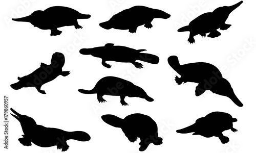 Platypus Silhouette Vector Graphics 