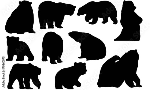 Polar bear Silhouette Vector Graphics  photo