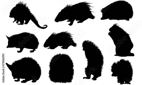 Porcupine Silhouette Vector Graphics 