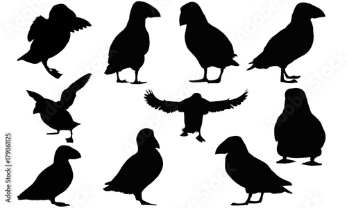 Puffin Silhouette Vector Graphics 