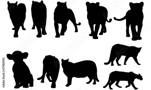 Puma Silhouette Vector Graphics 