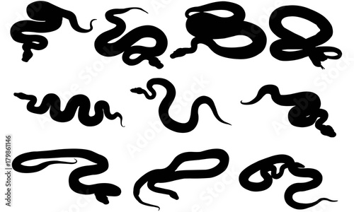 Python Silhouette Vector Graphics 