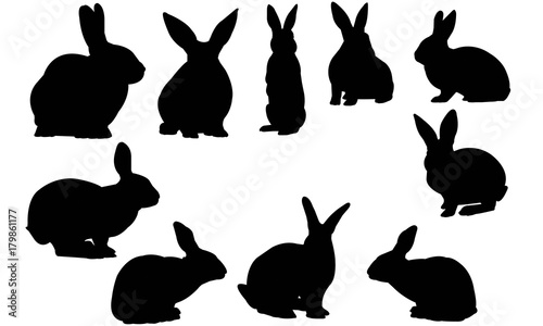 Rabbit Silhouette Vector Graphics 