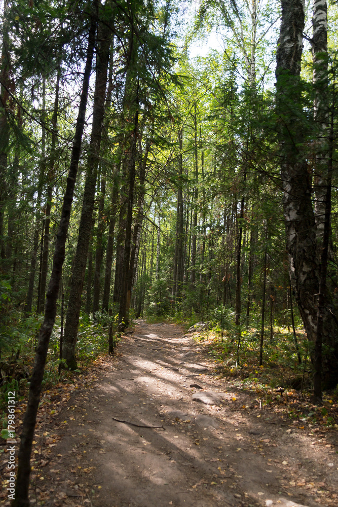 Silent path in the forest. Image taken on an summer day in the national park Taganay. Silent path in the forest. Image taken on an summer day in the national park Taganay.