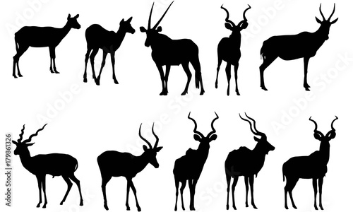Antelope Silhouette Vector Graphics  photo