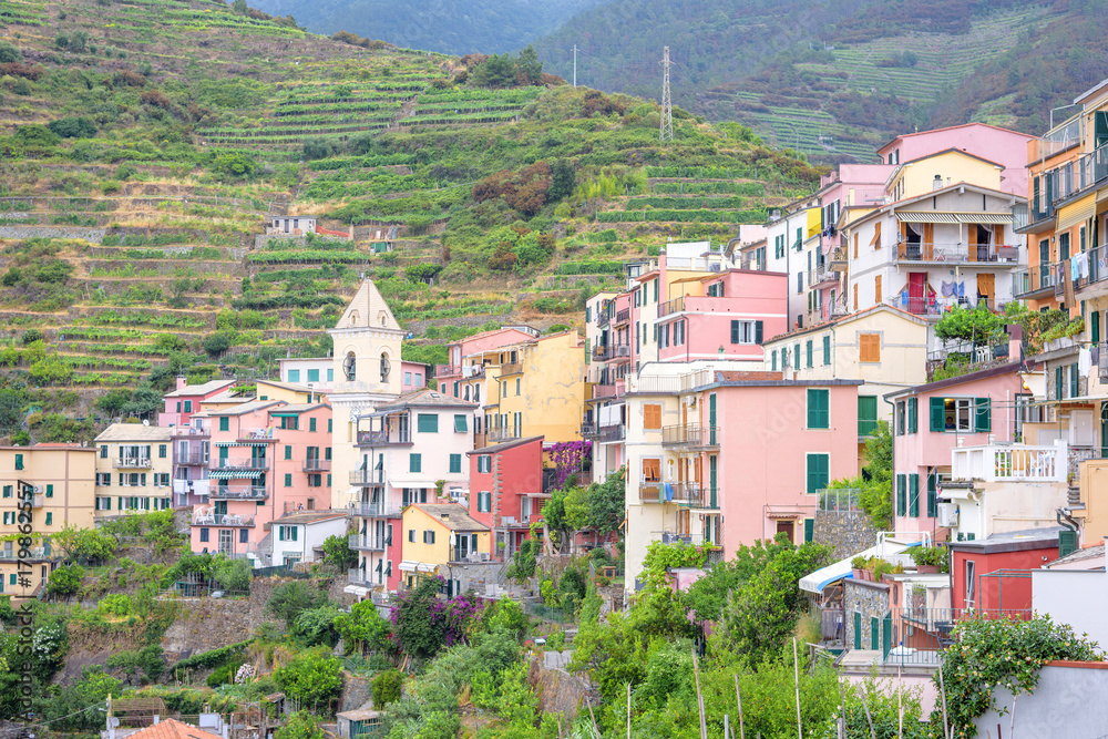 Naklejka premium Beautiful view to Manarola city in mountains of Cinque Terre