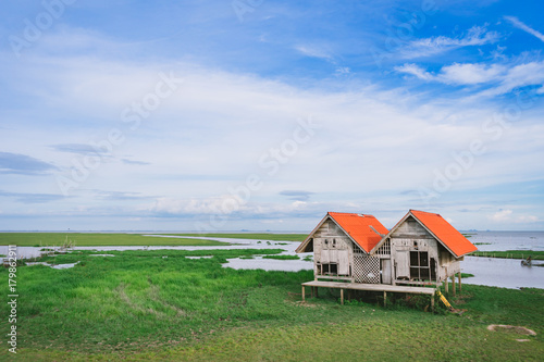 Twin hut with green field in Thalay Noi Waterfowl Park, Phatthalung, Thailand. photo