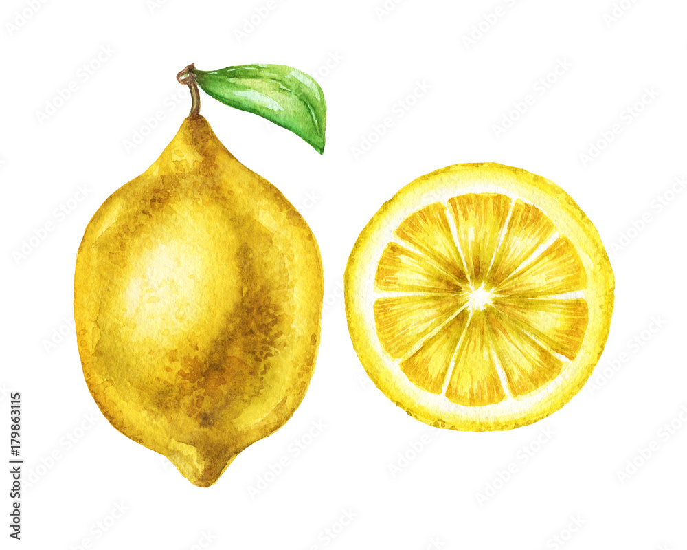 Watercolor lemon pair illustration in high resolution.