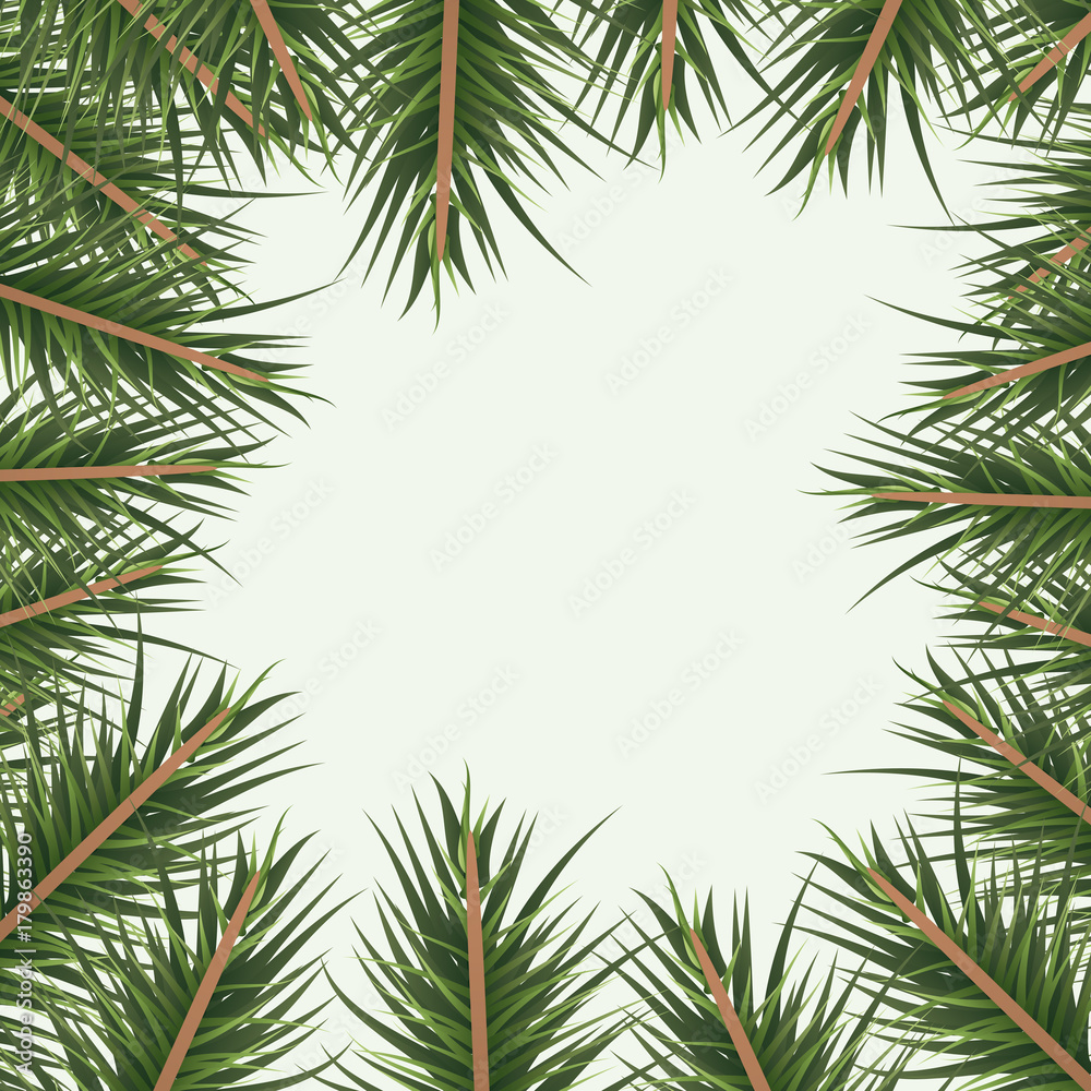 christmas ornament background with colorful pine branches