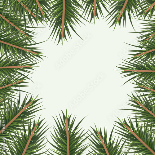 christmas ornament background with colorful pine branches