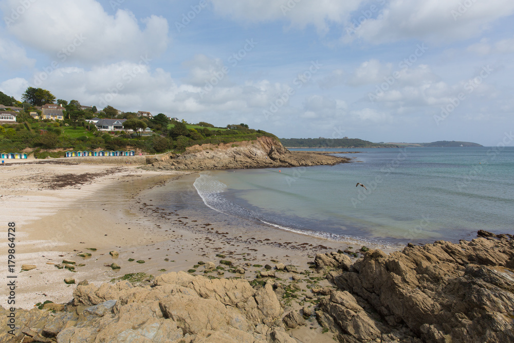 Swanpool beach and coast Falmouth Cornwall England UK located between between Maenporth and Gyllyngvase