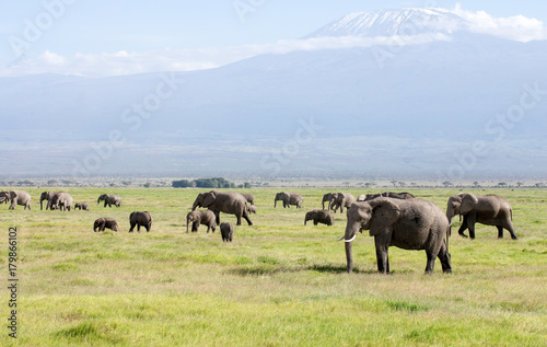 Amboseli Nationalpark Kenya © Ernst August
