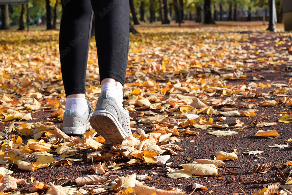 Recreation in the park during fall season - jogging and walking Recreation in the park during fall season - jogging and walking