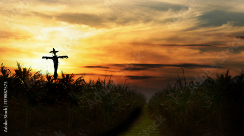 scarecrow at sunset next to yellow brick road