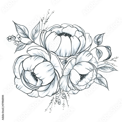 Hand drawn line art ink and watercolor peonies in graphic style. Feminine tattoo sketch, spring floral blooming, black and white illustration.
