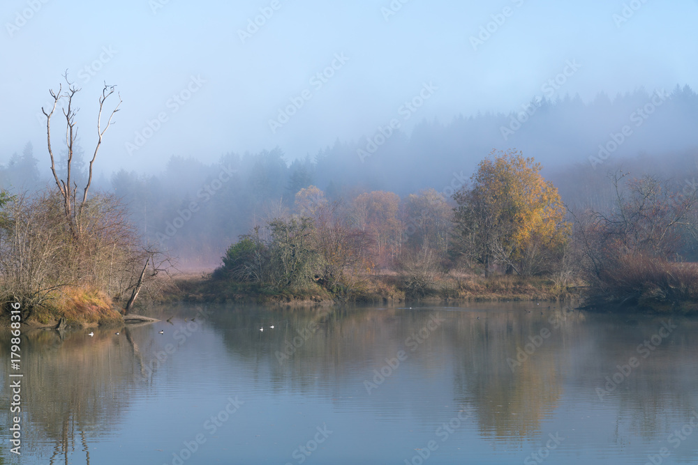 Foggy Morn At Mud Bay