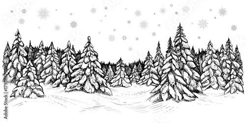 Vector illustration of snowy firs. Winter forest covered with the snow, hand drawn sketch.
