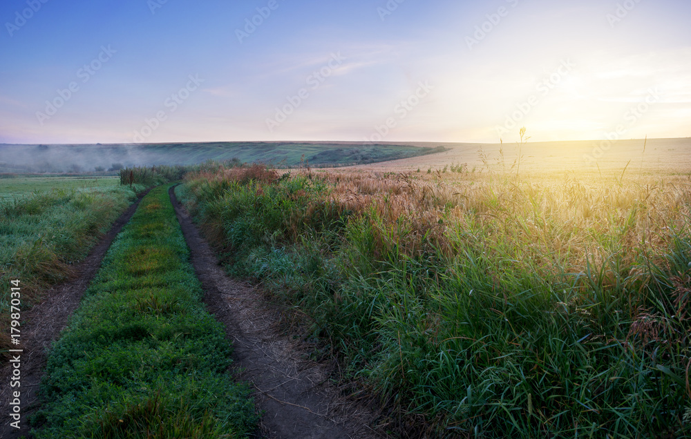 Obraz premium Foggy summer morning.Landscape with ground country road at sunrise.Dew in the grass. 