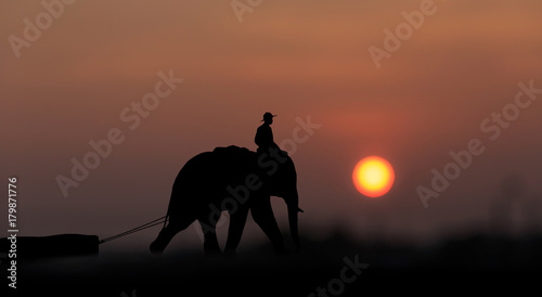 Mahout ride elephant.