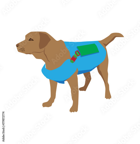 Cartoon labrador retriever rescue Dog. Lifeguard dog Squadron. Vector illustration.