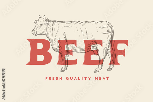 Vintage emblem with picture of cow and inscription Beef, fresh meat. Engraving label. Vector template for meat business.