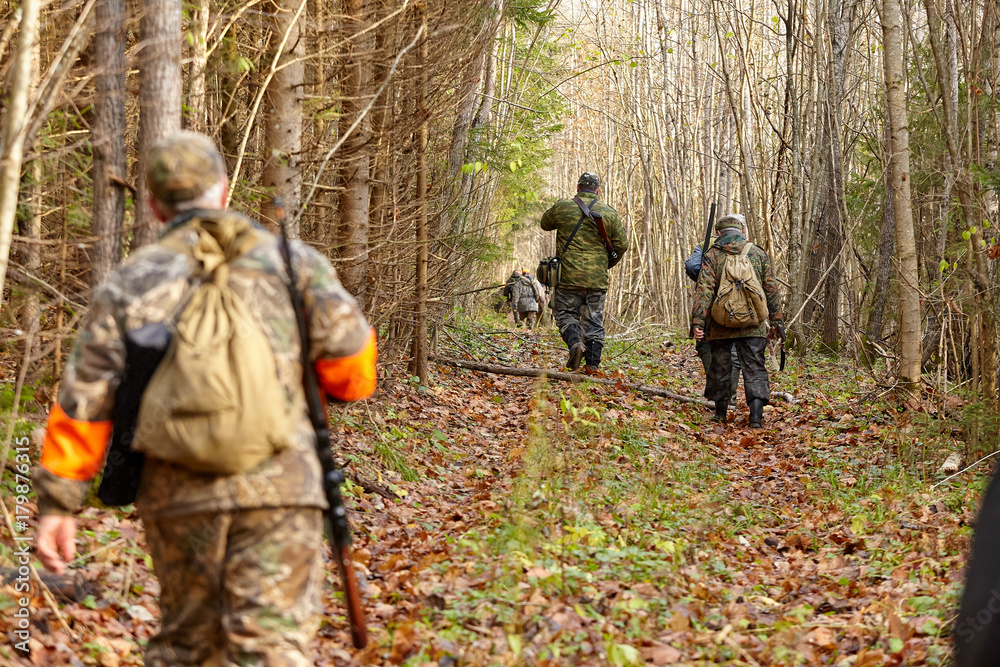group of hunters during hunting in forest, chase hunting