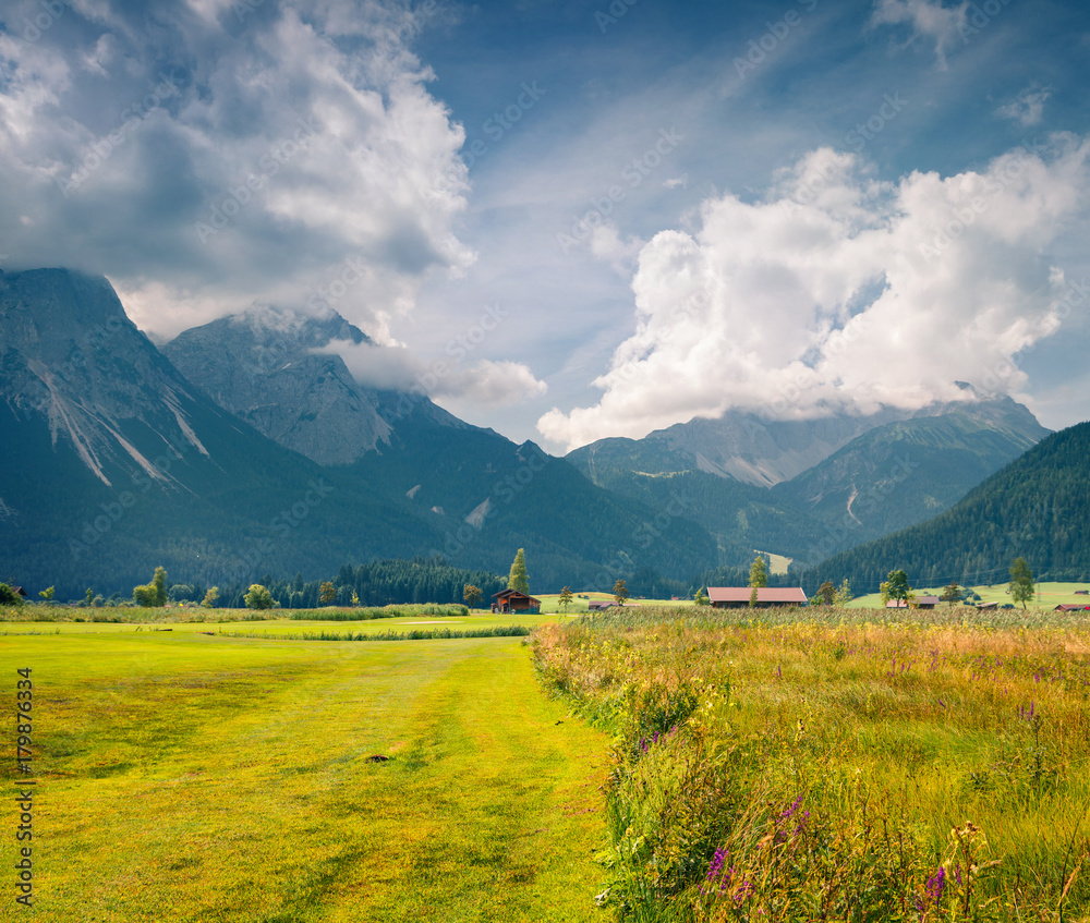 Obraz premium Green meadow on the Golf club Zugspitze, Lermoos village location