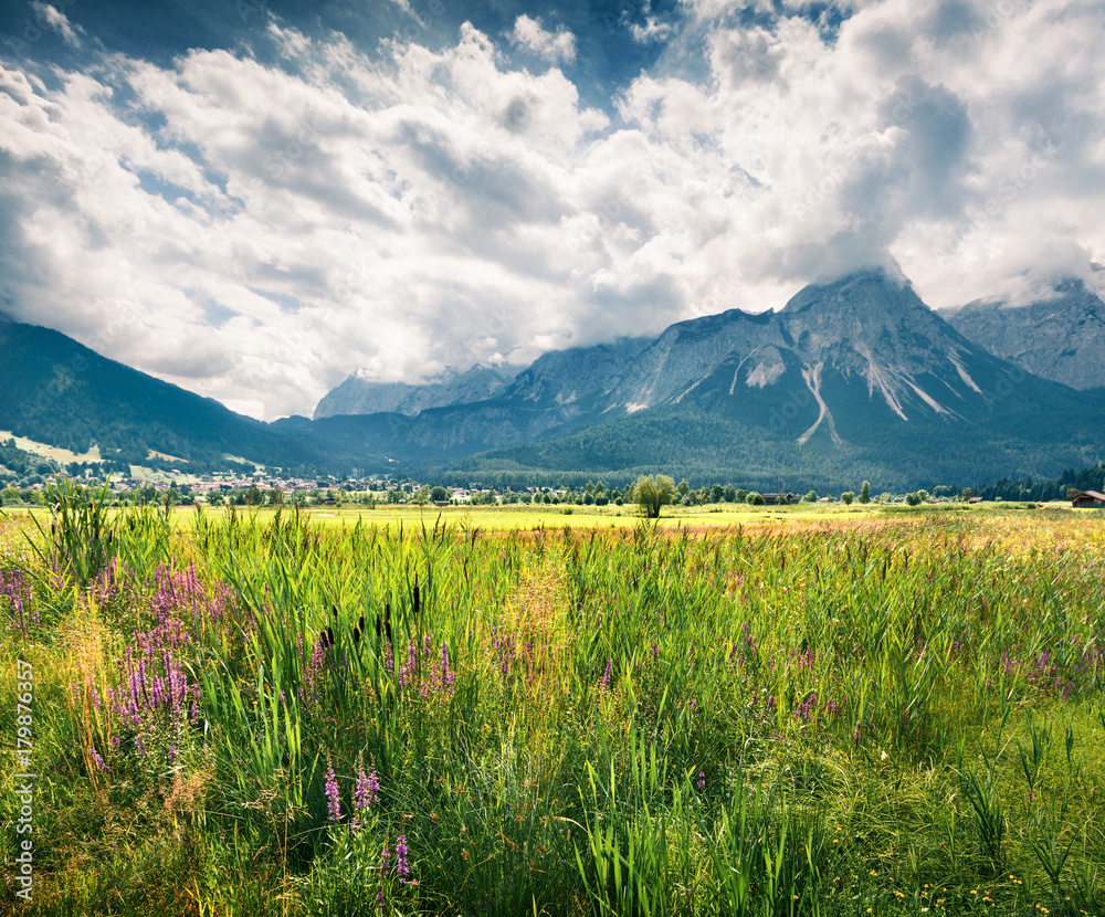 Fototapeta premium Green meadow on the Golf club Zugspitze, Lermoos village location