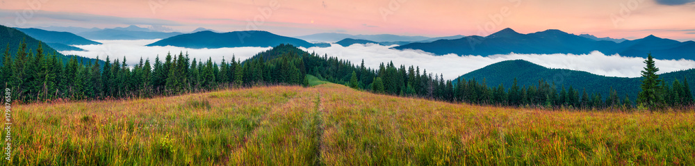 Foggy morning panorama of Carpathian mountains.